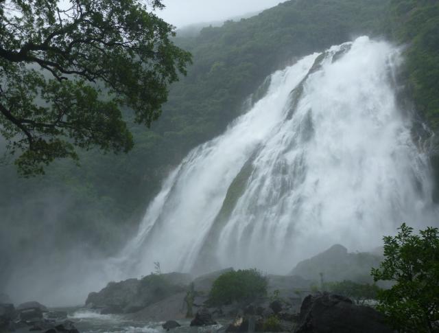 7/4の大雨を受け水量が増加し大瀑布となった大川の滝