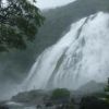 7/4の大雨を受け水量が増加し大瀑布となった大川の滝