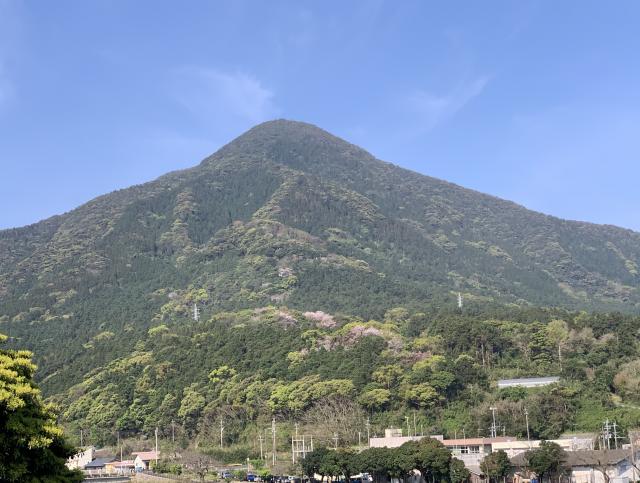 屋久島の山々では、見事な新緑が徐々にはじまりました。