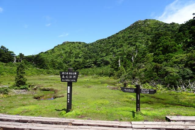 花之江河と黒味岳(2022.06.29　屋久島ガイド協会 )