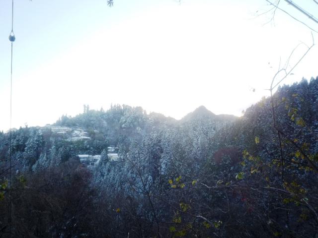 雪化粧した御岳山 (2011.12.09　御岳ビジターセンター )