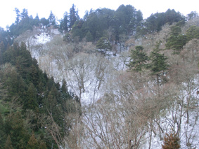 13日の積雪は約10cm。写真は14日早朝の御岳山の様子です。 