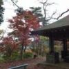 紅葉の見頃を迎えた富士峰園地の様子