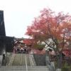 蔵御岳神社の紅葉　燃えるような神社の赤と紅葉の赤が楽しめます。
