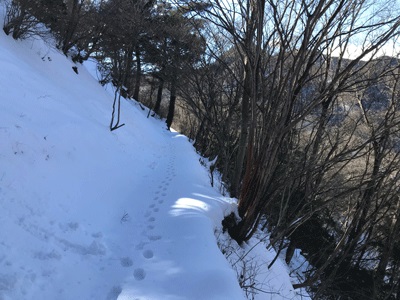 大塚山コース（5㎝～20㎝の残雪）