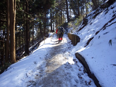 大岳山方面への登山道　残雪があるところは人が往来する道の真ん中は圧雪、凍結しています。