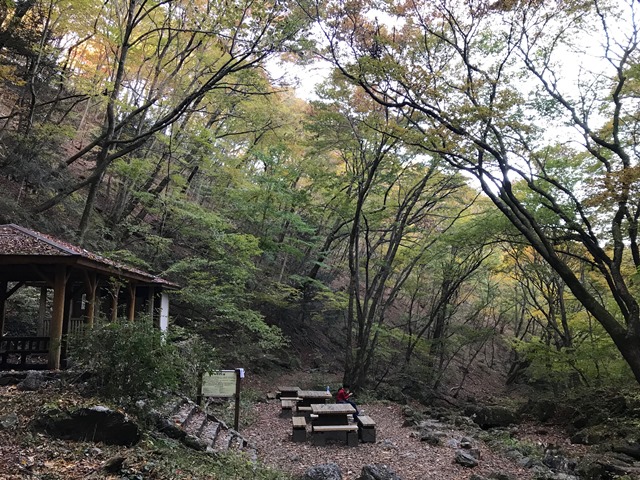 ロックガーデン　休憩舎付近の紅葉の様子　全体的にはあと1週間後くらいが見頃になりそうですが、木によってはすでに見頃のものもあります。