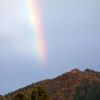 雨上がりに見た虹　日の出山の上空に虹が出現しました！