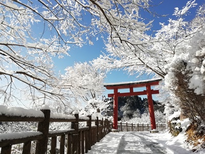 雪景色！　雪の白と鳥居の赤が綺麗でした！日当たりの良いところは溶けるのが早そうです。この景色は見るにはお早めに！