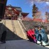 本日、武蔵御嶽神社では春季大祭が執り行われました。春とは言っても風は冷たく、厳かな神事に身の引き締まる思いがしました。