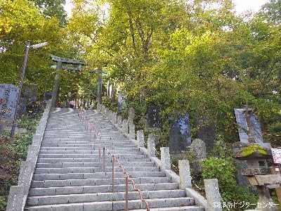 神社までの石段付近の様子。まだ緑色が目立ちます。例年の紅葉のピークは11月上旬から中旬です。