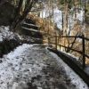 武蔵御嶽神社下から長尾平への道。日陰まだ残る雪。軽アイゼンの用意を。