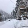 1月28日は、御岳山周辺で30cm程度の積雪となりました。