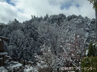 御岳山内　積雪15㎝昨日の雪は多い所で15㎝程度積もりました。
少しずつ溶けだしていますが、雪景色がとてもきれいです