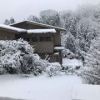御岳山積雪10㎝　朝9時から雨が雪に変わり、3月14日16時現在
約10cmの積雪。