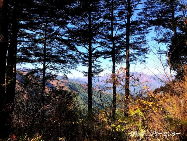 小塚山の東屋からの風景　杉があってよく見えない…でもそれがまた良いと思えます