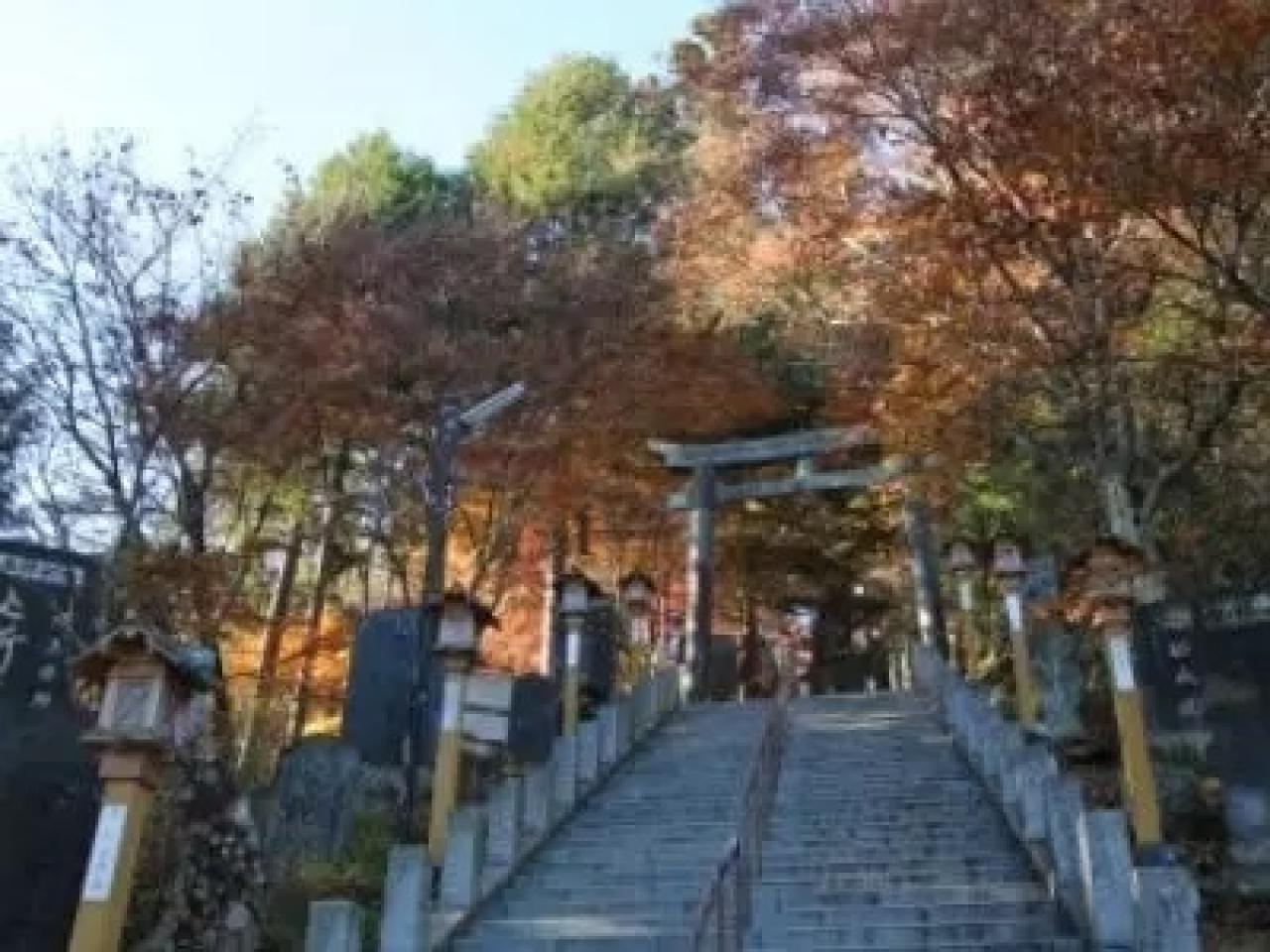 紅葉終盤の武蔵御嶽神社の階段。階段横にはリンドウが咲いています。