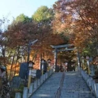 紅葉終盤の武蔵御嶽神社の階段。階段横にはリンドウが咲いています。