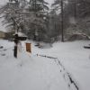 降雪時の笠取小屋周辺