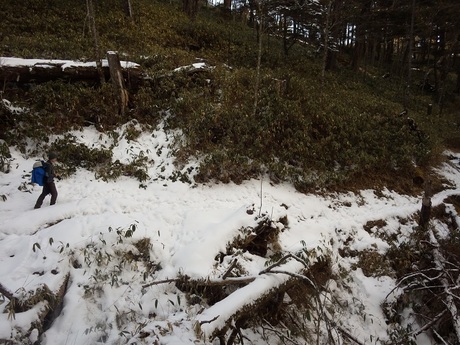 雲取山山頂巻き道の様子　軽アイゼン必須　写真は2/12のものですが、2/21現在も凍結があると思います。