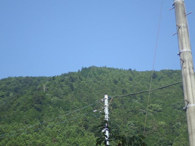 ビジターセンターの裏から撮影した「山の緑」と「空の青」。快晴の一日です！しかしとっても暑く、奥多摩とはいえ熱中症に注意