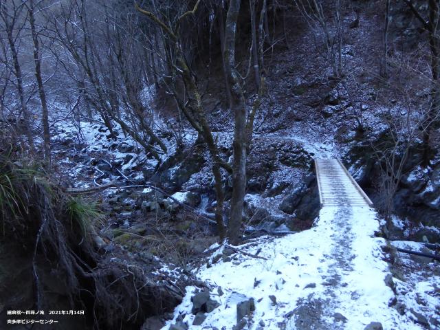 川苔山の登山道　残雪凍結があります