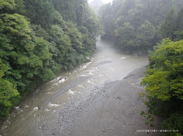 多摩川は増水しています。