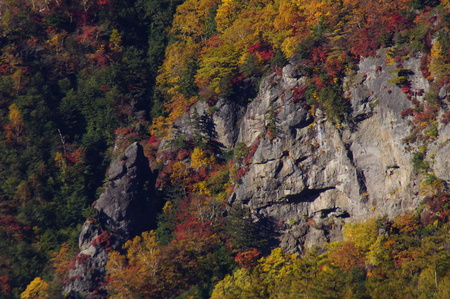 様々な奇岩と紅葉のコントラストがとてもきれいな高峯渓谷 