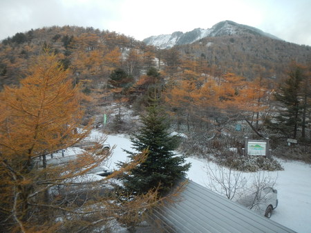 周辺もうっすら雪化粧。紅葉の木々の黄色に白い雪のコントラストがきれいな朝 