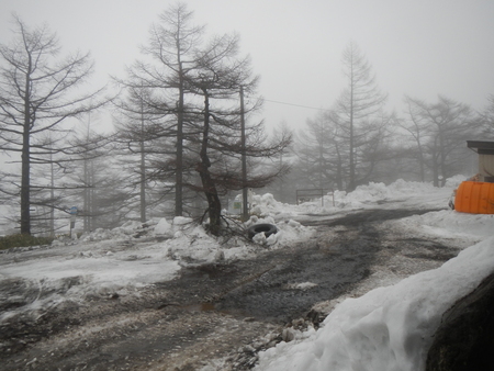 冬季閉鎖中の「高峰温泉～車坂峠」の除雪作業が始まりました。早ければ4/23から車で宿までお越しいただけるようになります。