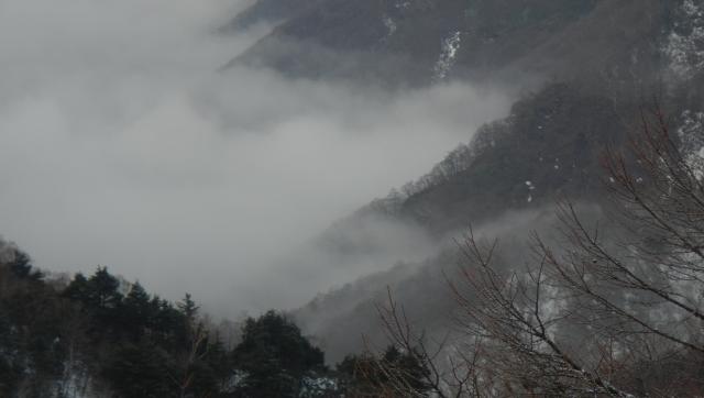 高峰温泉から下界に広がる雲海が、高峯渓谷の中に入り込むと、霧が陰影を作り水墨画のような幻想的な景色に変わりました。