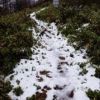 登山道の積雪の様子