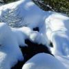 パウダースノーの雪がとても綺麗な朝の高峰高原です。積雪30cm。ようやくまとまった積雪となりました。今日からスノーシューツアーがスタート。