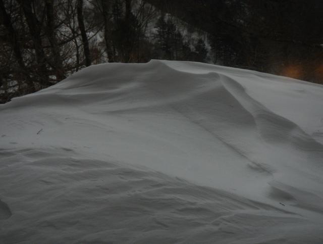 今朝は風速が20ｍ近い南西の強い風が吹き＜雪原には至るとこにシュカブラ（風雪紋）ができています。