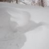 昨日からの積雪が１0cmほど新雪が積もりました。風が強いためシュカブラが出来て雪の芸術が見られました。