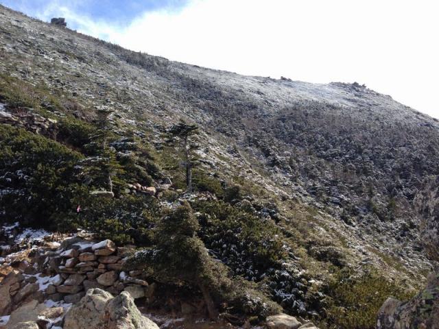 標高2300m以上は、10日に降った雪で薄っすら雪化粧