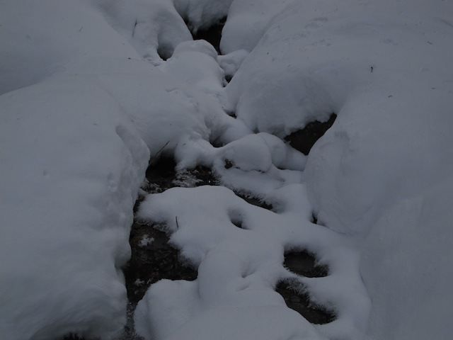 雪に埋もれても水は流れています。