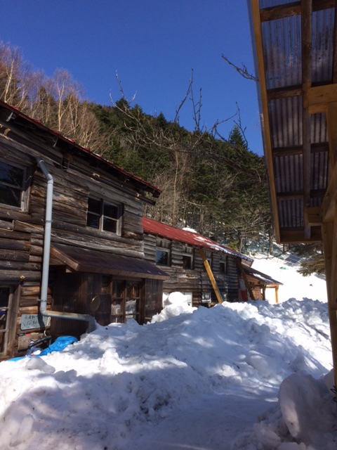 今日は快晴。小屋の前は背丈ほどの積雪。