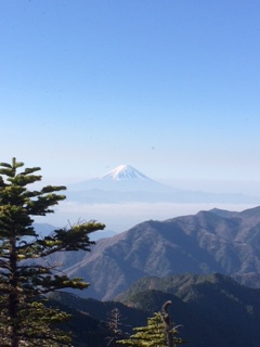 山頂から望む富士山