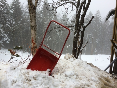 昨晩からの降雪で小屋前の積雪30cm　朝から雪かきです。