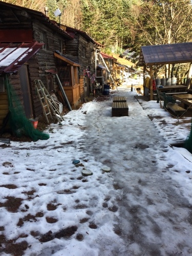 小屋の前の積雪はとけはじめています。全部がとけてしまえばいいのですが、気温が下がって表面が凍るとツルツルになってしまいそう。