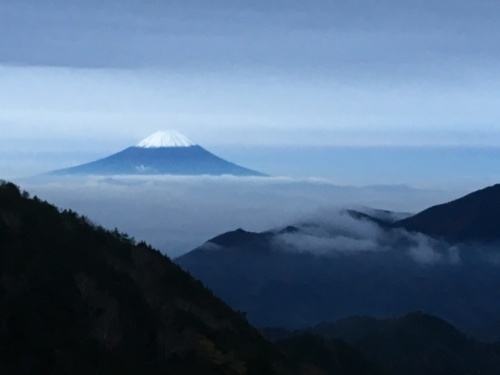 今季初の氷点下の朝　空気が冷たーい。寒ーーい中、屋の裏手から冠雪した富士山がきれいに見えました。