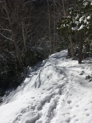 毛木平からナメ滝の途中。雪が多く、足が沈んで取られます。