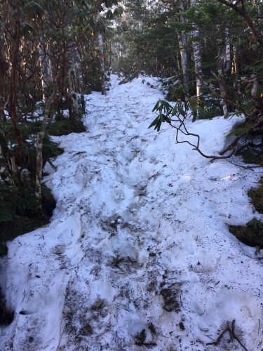 木賊山周辺　登山道もかなり残雪残ってます