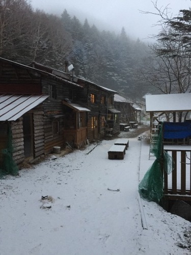 今朝の小屋の周辺　積雪1cm。その後融雪しました。