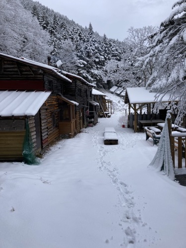 11/20降雪後、翌朝の小屋前の様子　積雪11cm