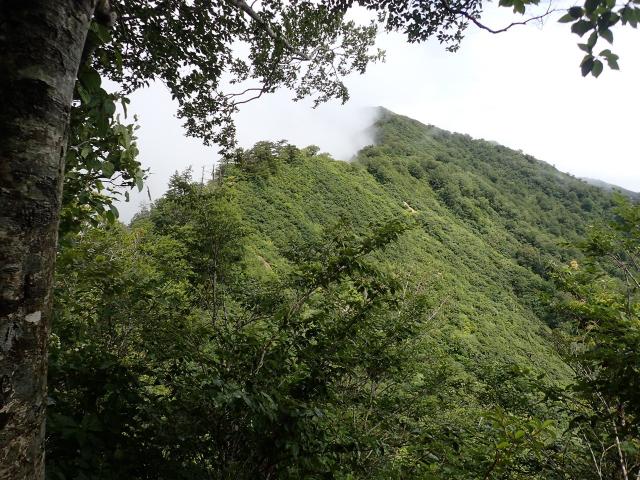 巻岩山