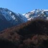 湯沢峰から北股岳を仰ぐ