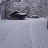 裏登山道公衆トイレ付近の積雪の様子