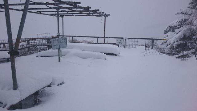 山荘前で25～40cmの積雪になりました